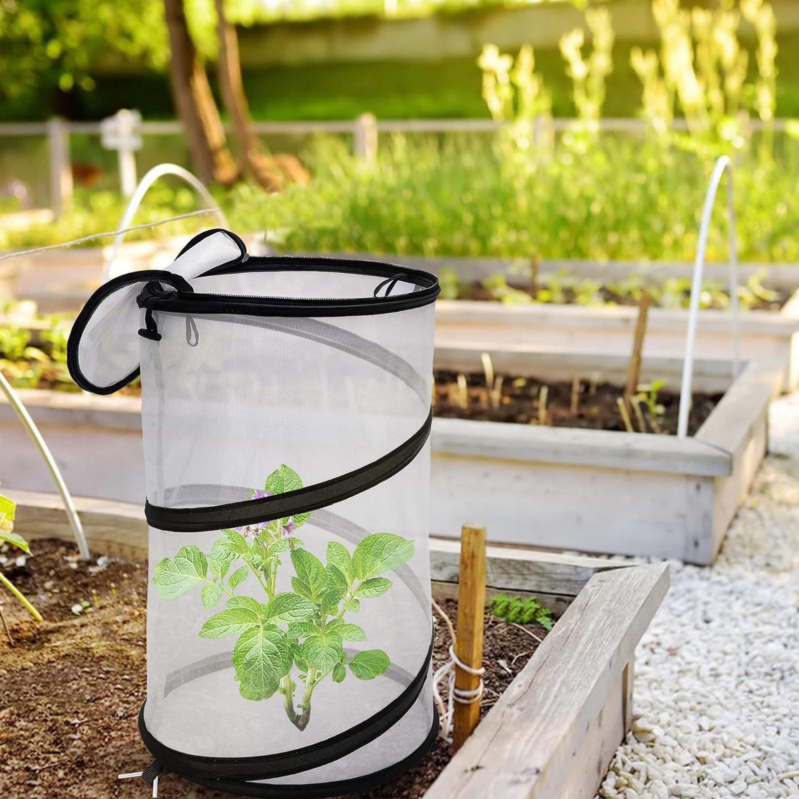 E la Rete barriera in Filo Acciaio Protegge Le Verdure del Giardino dagli Uccelli Che spuntano Fuori Design rapido Installazione Esterna Copertura per Riparo per Piante a Prova Inverno
