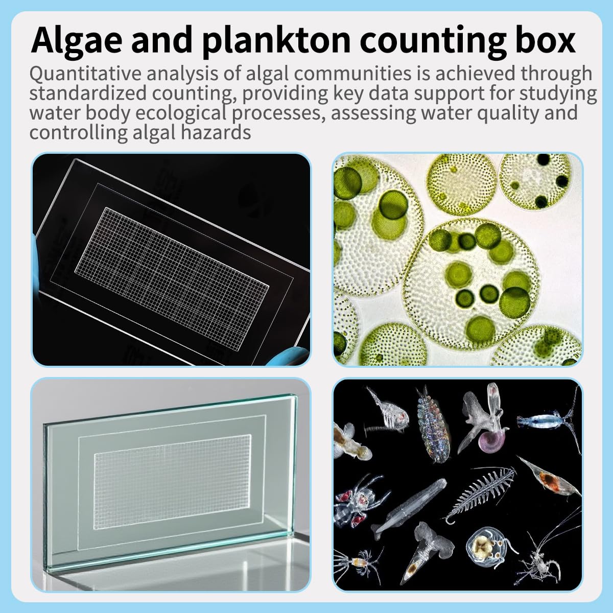 Cámara de conteo de plancton con 100 portaobjetos de microscopio y 1 contador de conteo de mano para análisis de fitoplancton y zooplancton (1 ml, 1000 rejillas)