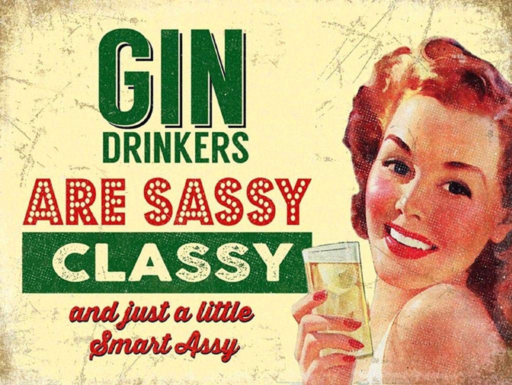 BigBazza Novelty Retro Vintage Wall tin Plaque 20x15cm - Pub shed Bar Office Workshop Man Cave Home Bedroom Dining Room Kitchen Gift - Gin Drinkers Sassy Classy Metal Sign