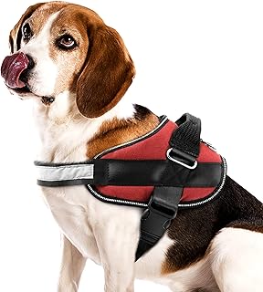 tripawd dog harness