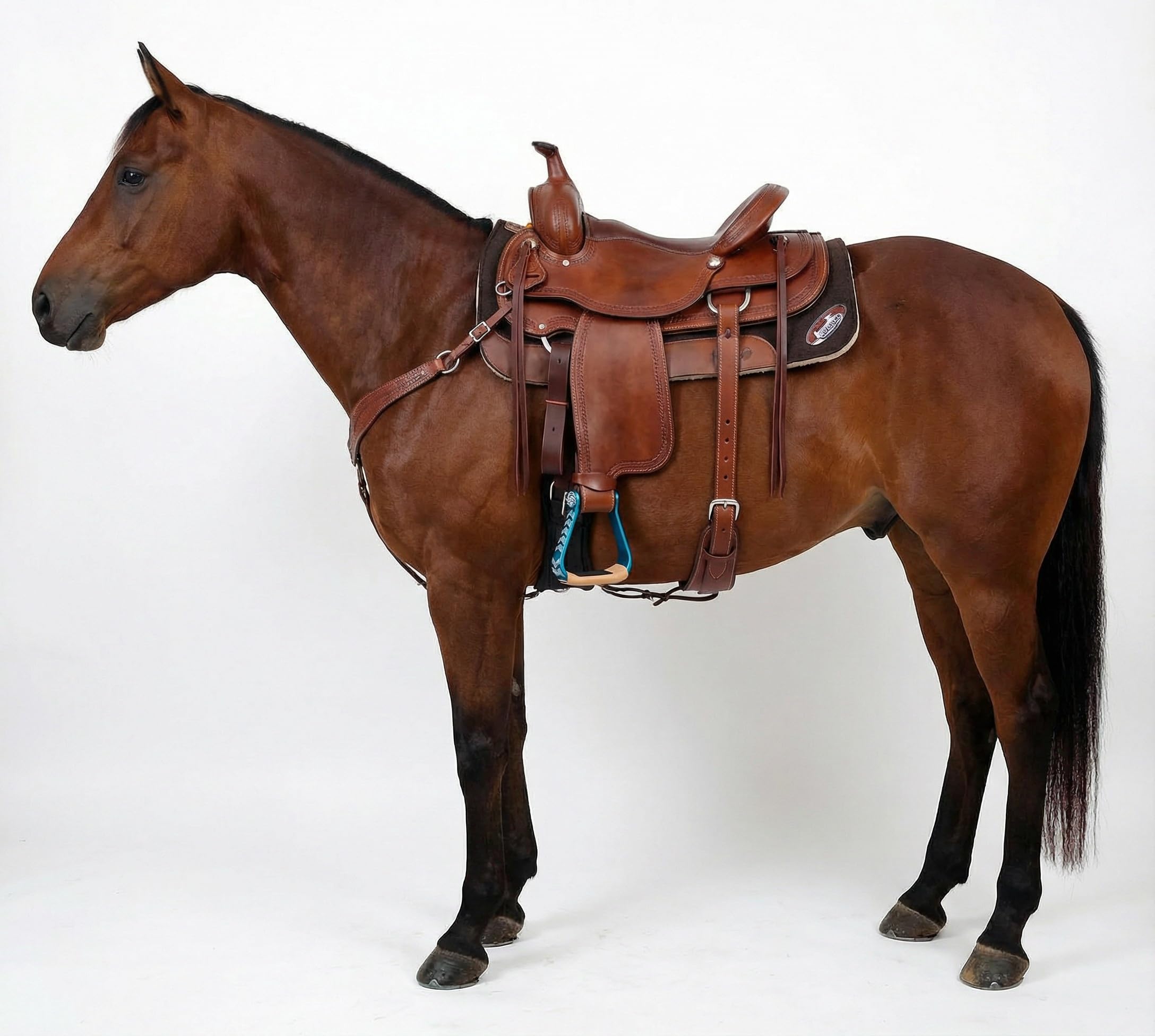Horse Western 51244 - Staffe in alluminio con incisione, 12,7 cm
