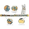 Product Photo 2