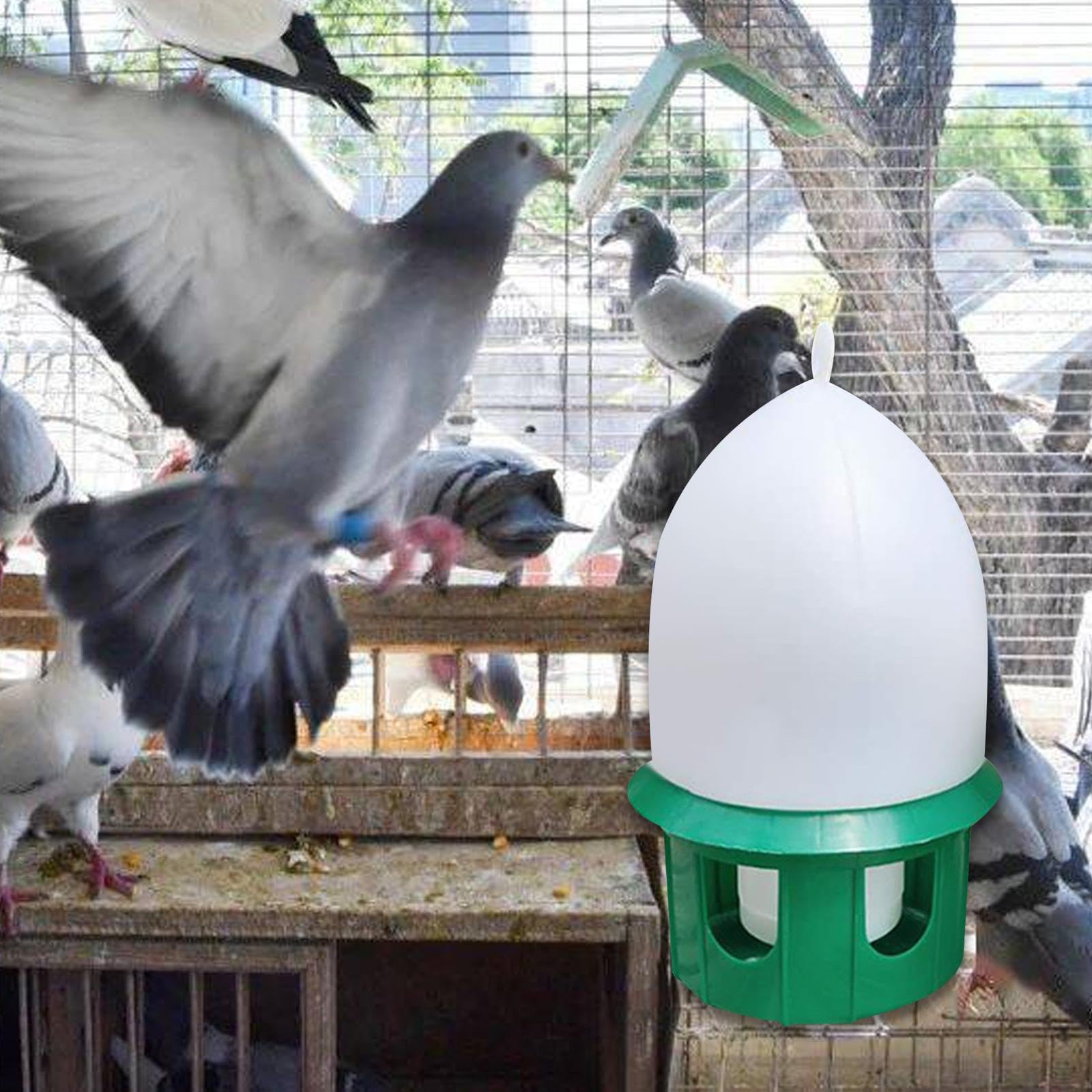 rockible Abreuvoir pour Pigeons, Abreuvoir pour colombes, Automatique, Distributeur d'eau pour Oiseaux, pour calopsittes, paons, tourtereaux, 6L Vert