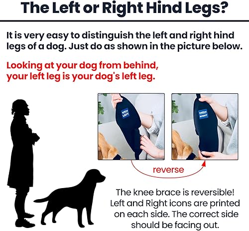 Miniatura 5 de Rodillera para perro con arnés y cinturón de conexión, ligera y elástica, soporte para pierna trasera desgarrada del ligamento cruzado anterior,