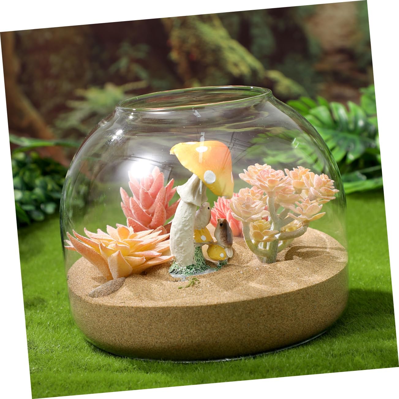 2pcs Terrarium Glass Bottle for Landscape Elegant Moss Plant Jar Cork Stopper for Home Decor and Hydroponic Displays