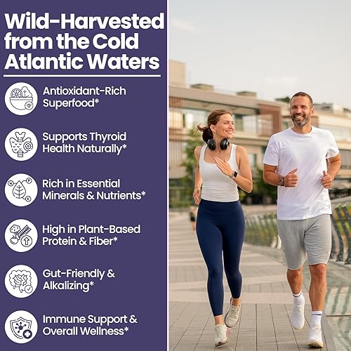 Miniatura 3 de Wildcrafted North Atlantic - Gránulos orgánicos de musgo irlandés polvo, inmune saludable, apoyo intestinal y bienestar general (1 libra)