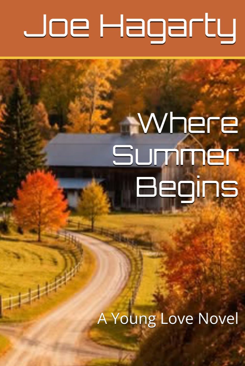 Where Summer Begins: A Young Love Novel