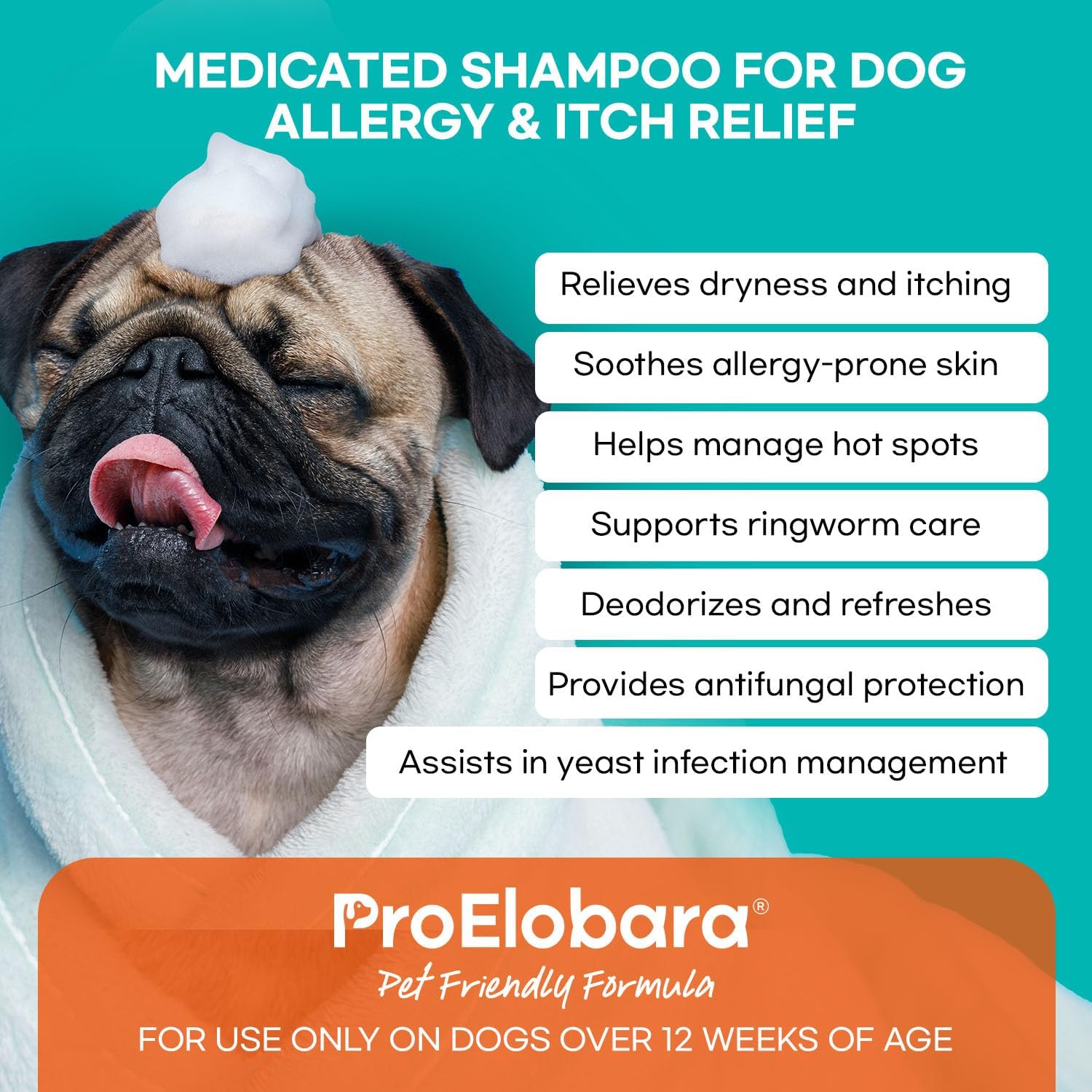 Medicated Dog Shampoo for Allergies and Itching: Antifungal Dog Shampoo, Yeast Infection and Bacterial Treatment for Dogs - Helps Hot Spots, Deodorizing and Anti Itch - Healthy Skin & Coat (Pack of 2