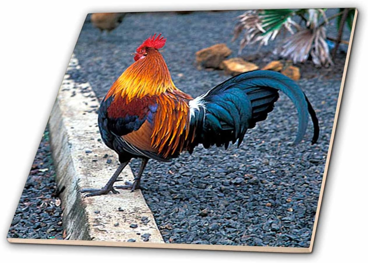 3dRose ct_1124_7 Rooster Glass Tile, 8-Inch
