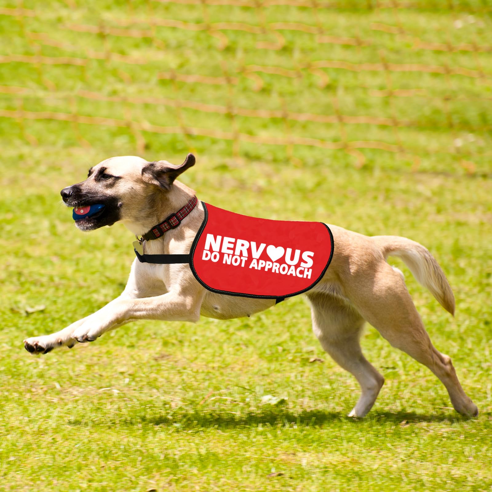 Nervous Do Not Approach Dog Jacket Vest Nervous Rescue Space Dog Vest Dog Walking Slogan Warning Gift (NERVOUS APPROACH L) - Image 4