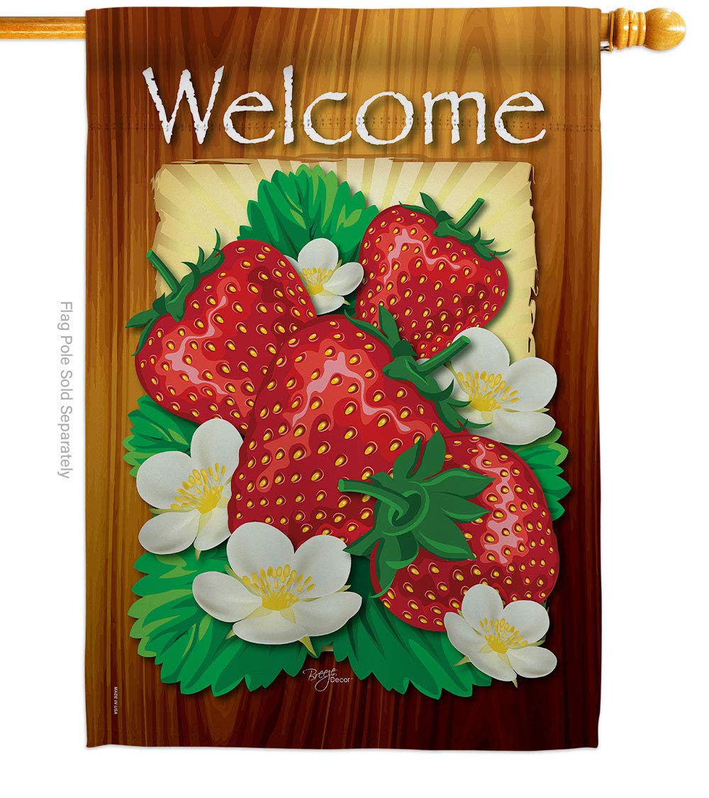 Breeze Decor FT-H-117023-IP Welcome Strawberries Garden Flag, 28" x 40", Decorations Gifts Made in USA