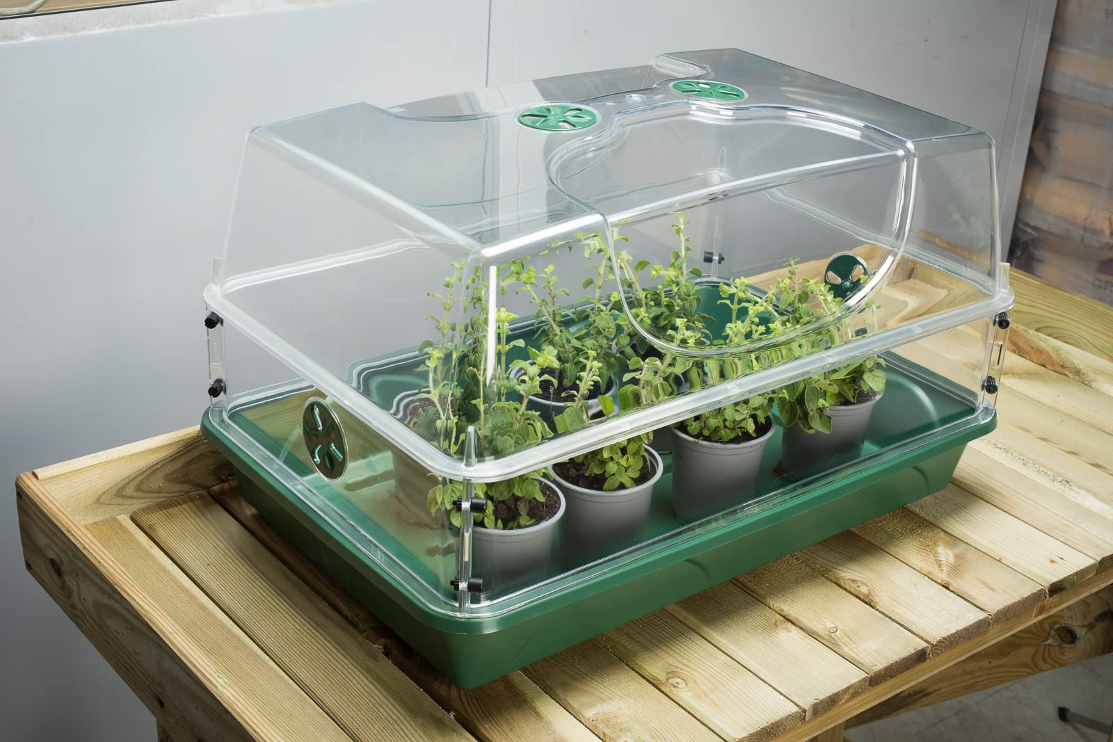 EarlyGrow MPL50123 Grand propagateur incassable avec extension de hauteur ventilée (taille L avec une extension)