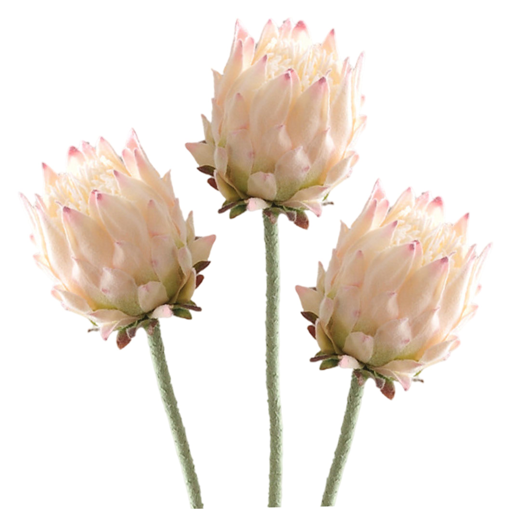 Bemonew Artificial Protea Flowers, 3pcs Tropical Flowers Artificial - Real Touch Faux Flower For Vase & Arrangement, 25.2 Inch Style 1