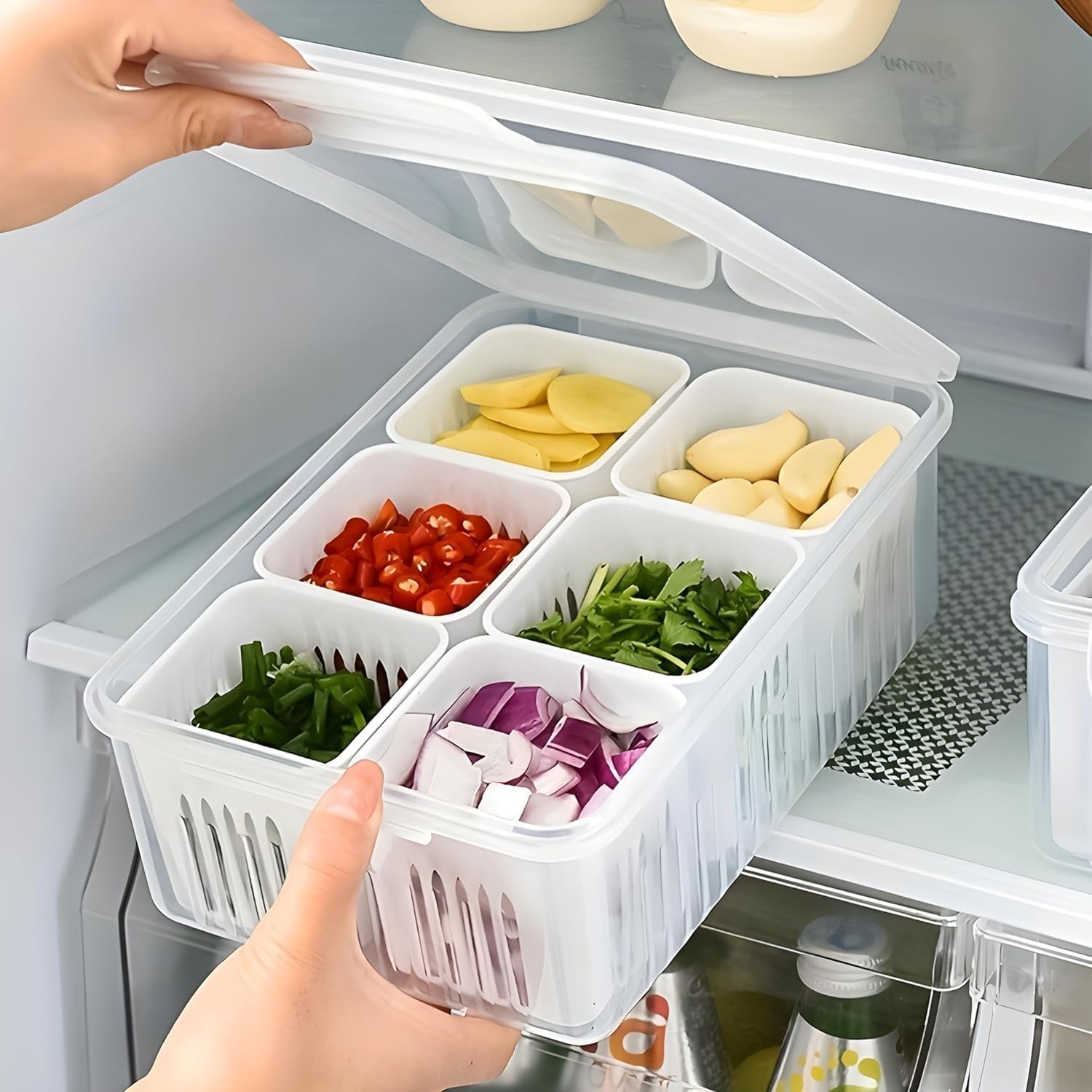 Polypropylene Havencia 6-Grid Fridge And Freezer Storage Boxes, Refrigerator Organizer, Vegetable And Food Storage Container,Ideal Kitchen And Pantry (Pack Of 1, White) (B0D6LP3S3F) Amazon Price History, Amazon Price Tracker