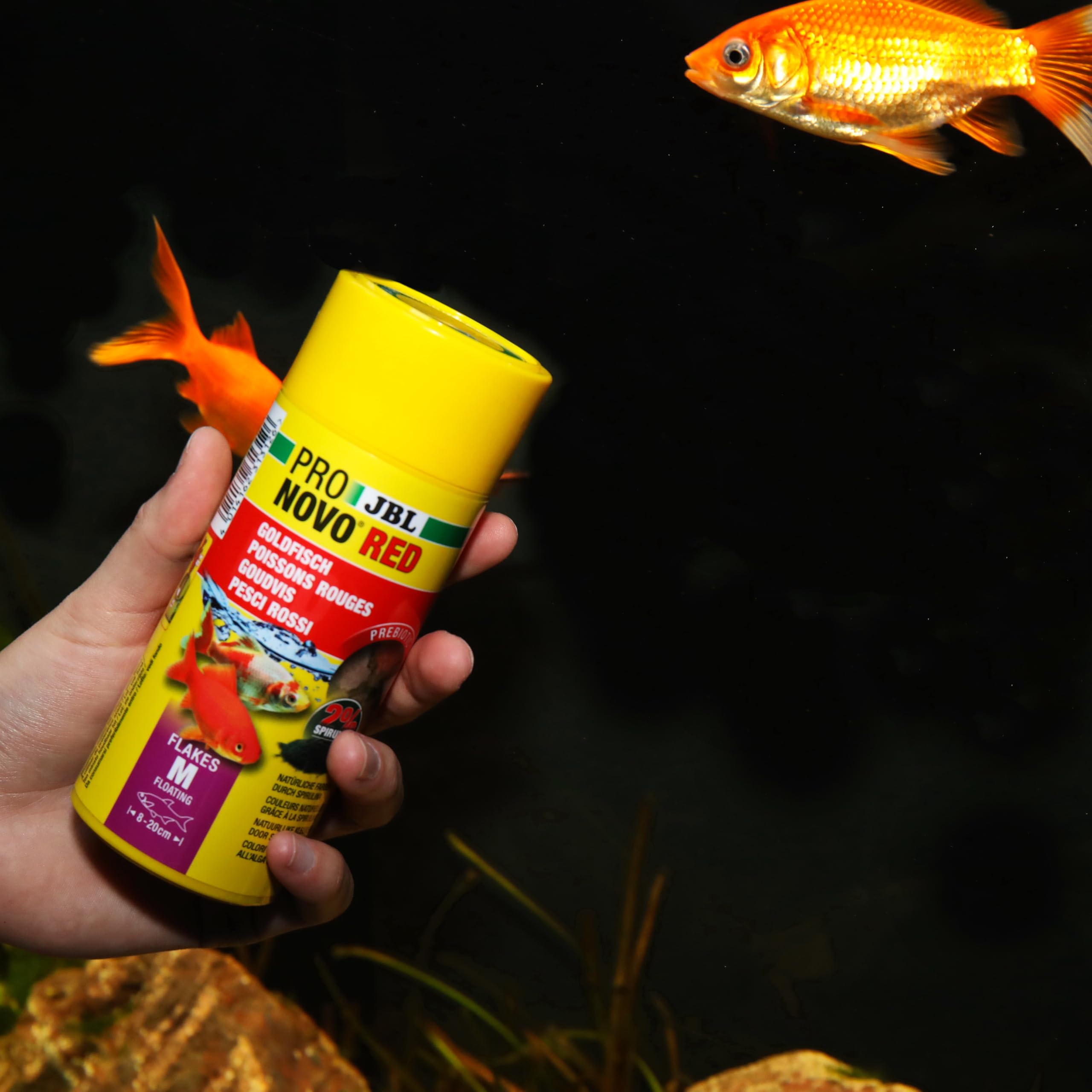 JBL PRONOVO RED FLAKES, Aliment de Base pour Poissons Rouges de 8-20 cm, Flocons pour Poissons, taille M, 250 ml