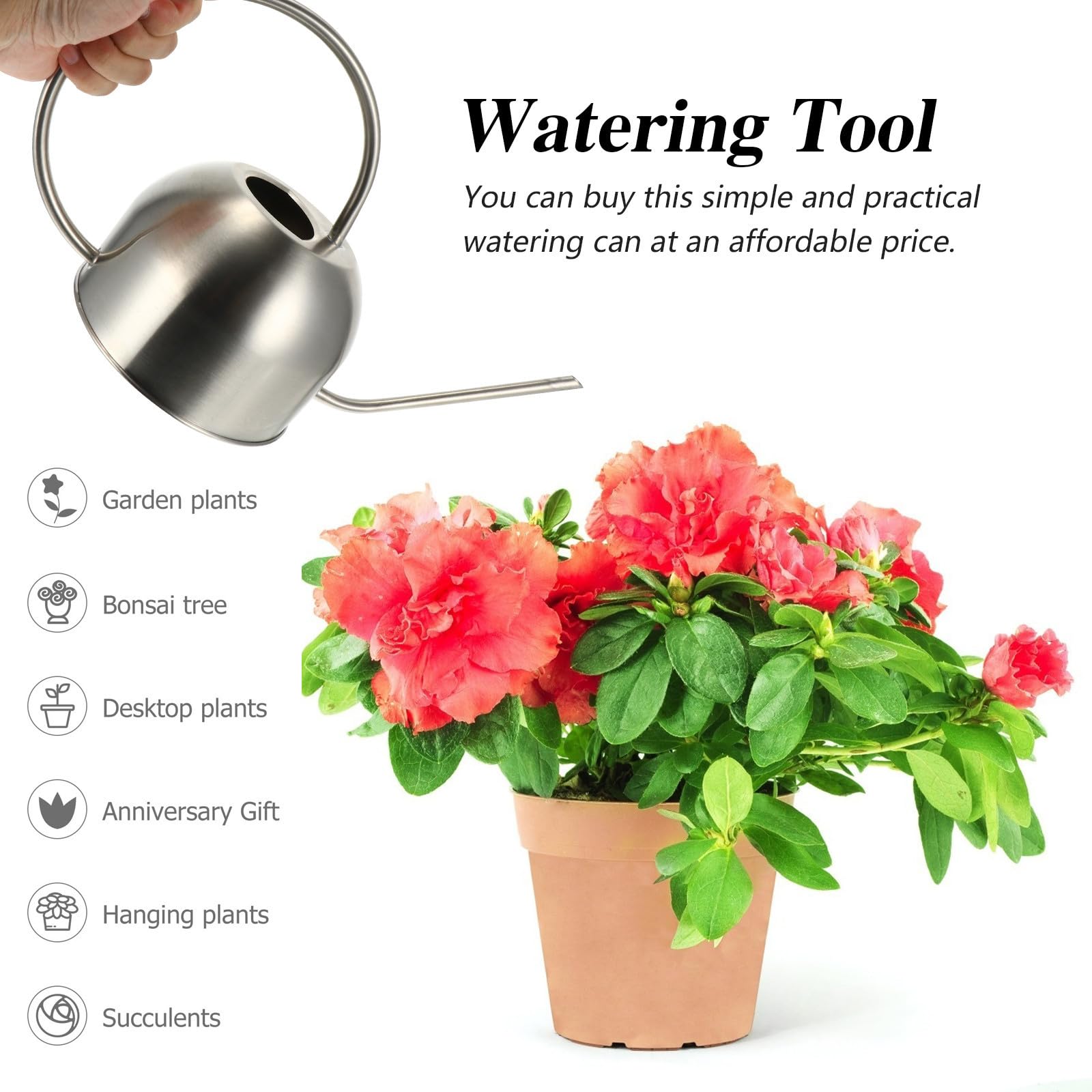 Levemolo Regadera de Acero Inoxidable de Largo Alcance, 1,5 L, Plata, para Flores y Plantas Colgantes, Jardín Exterior, Resistente Corrosión y Ecológica