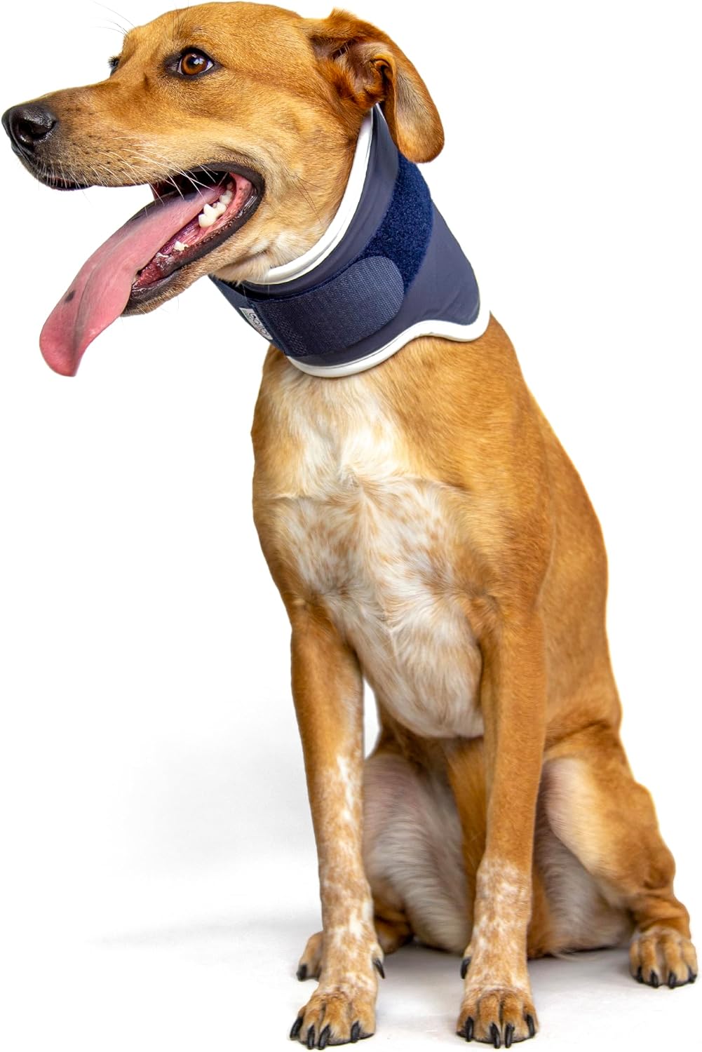 Orthopedic Dog Neck Brace – Cervical Spine Support Collar for Dogs – Adjustable, Lightweight, Soft Padded Neck Stabilizer for Injury Recovery, Post-Surgery, Arthritis – Vet Approved (L)