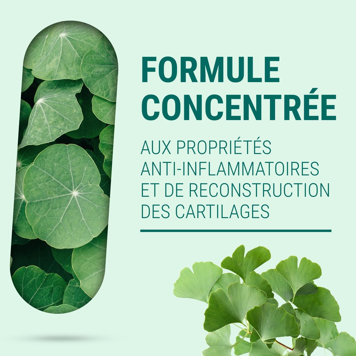 CHONDROÏTINE GLUCOSAMINE MARIN - Complément Alimentaire Arthrose, Rhumatismes & Douleurs Articulaires - Pureté Garantie - 150 Gélules - Fabriqué en France - Sans Additifs Allergènes OGM