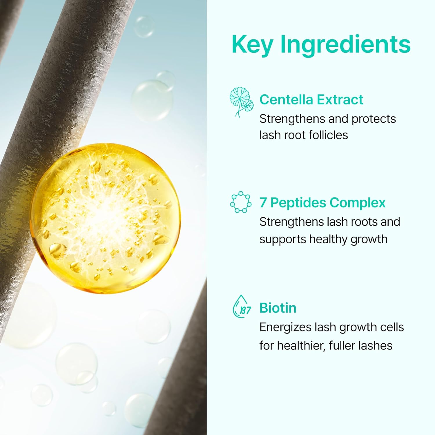 Korean Eyelash Growth Serum | Eyebrow Enhancer for Longer and Thicker | Biotin, Peptides & Centella | Prostaglandin-Free, Non-Irritating | Dual Applicator | Korean Skincare | 0.3 fl oz (10 ml) - Image 4