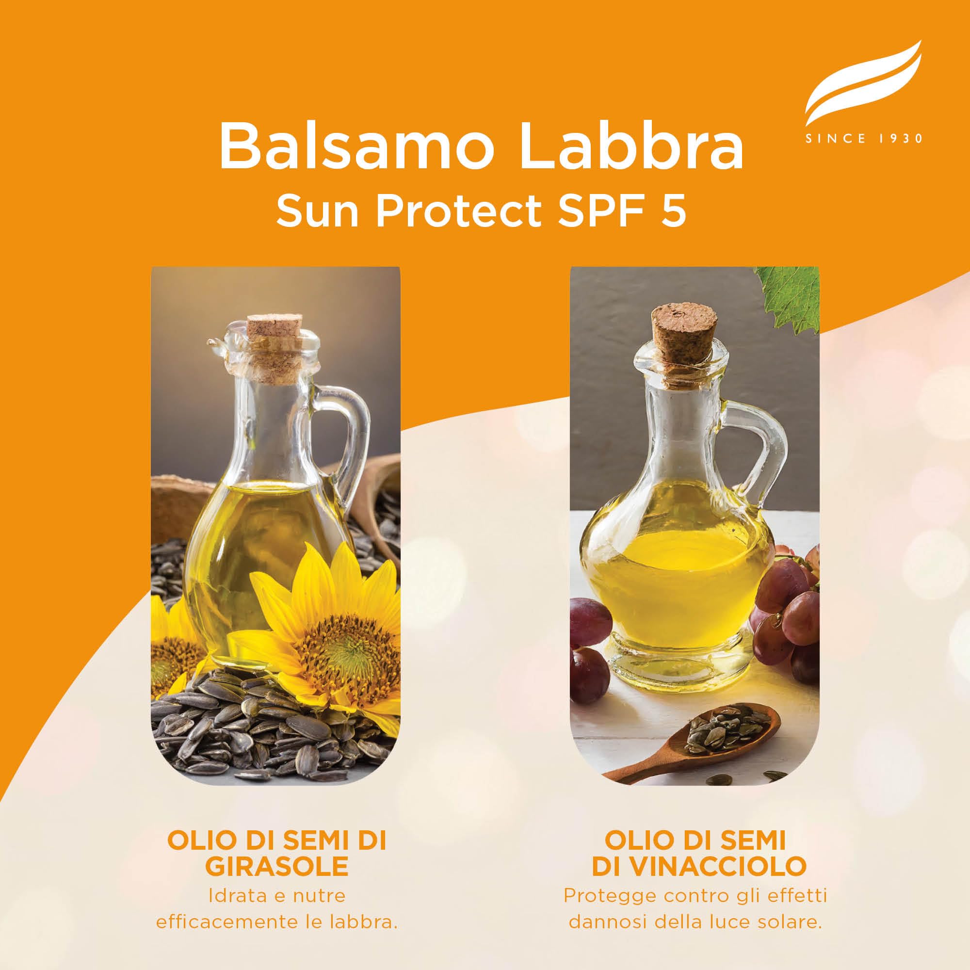 Himalaya Sun Protect Balsamo per labbra con SPF 50 e protezione dai raggi UVA, protegge le labbra dai danni del sole, 4,5g, Confezione da 1, Sun Protect 4.5g, Confezione singola