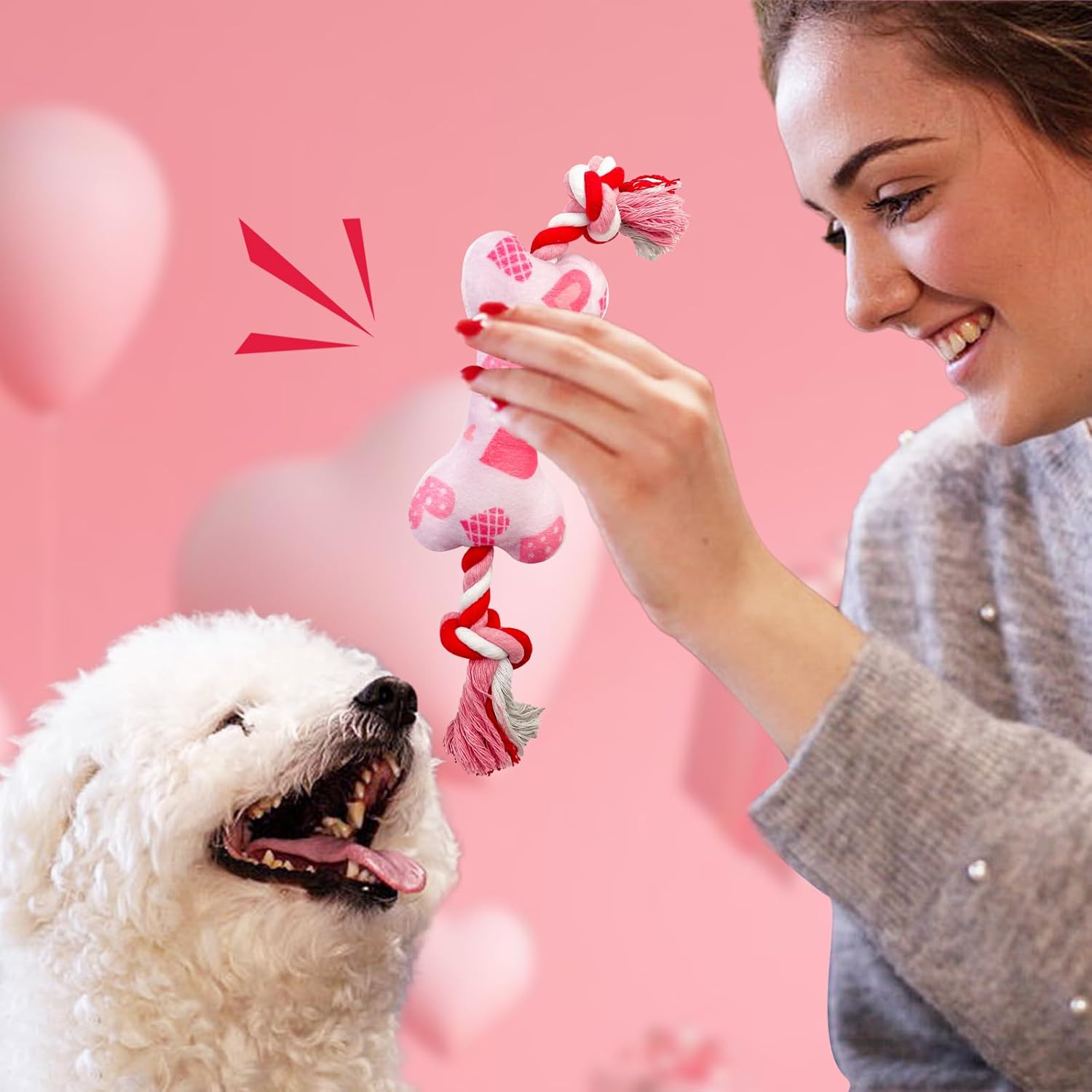 Valentine's Day Dog Toys, 2 Pack Plush Squeaky Dog Toys with Cotton Rope, Valentine's Day Dog Gifts for Small and Medium Dogs