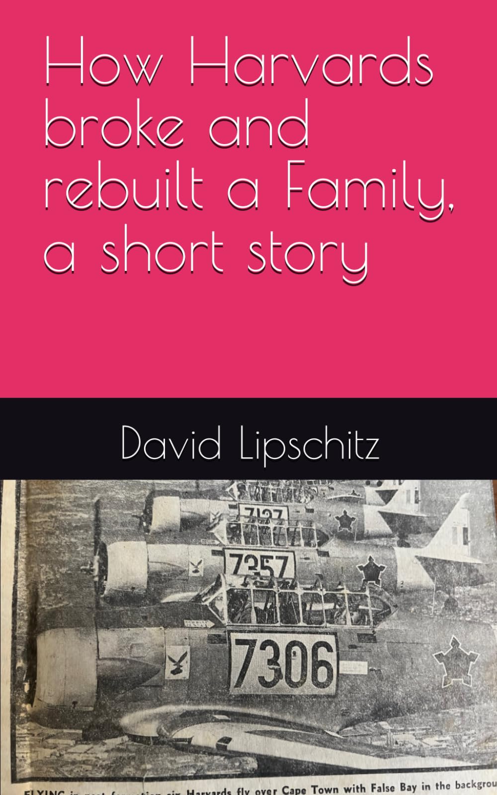 How Harvards broke and rebuilt a Family, a short story