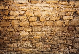 CSFOTO 10x8ft Western Wall Backdrop Ancient Jerusalem Backdrop Jerusalem Photo Background Israel Backdrop Brick Backdrops for Photography Jerusalem Wall Backdrop Wailing Wall Backdrop