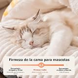Ver la foto 6
