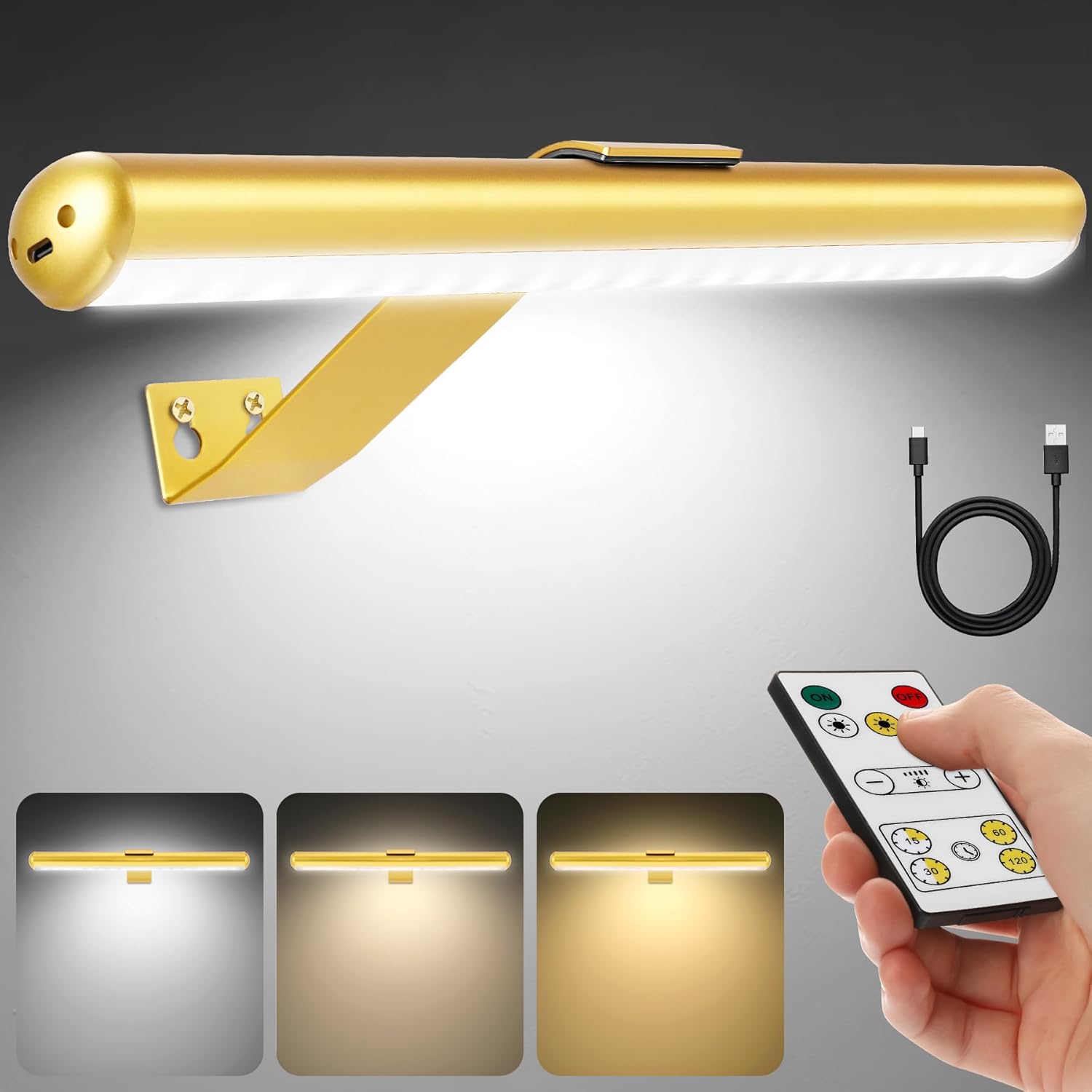 TINTINDOC Picture Light for Wall Battery Operated with Remote,Art Light