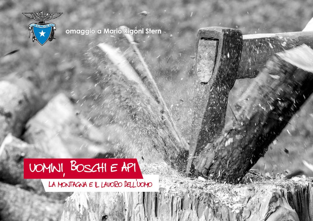 Uomini, Boschi E Api. La Montagna E Il Lavoro Dell'uomo - 4