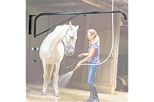 Swinging Arm Wall-Mounted Horse Wash Attachment