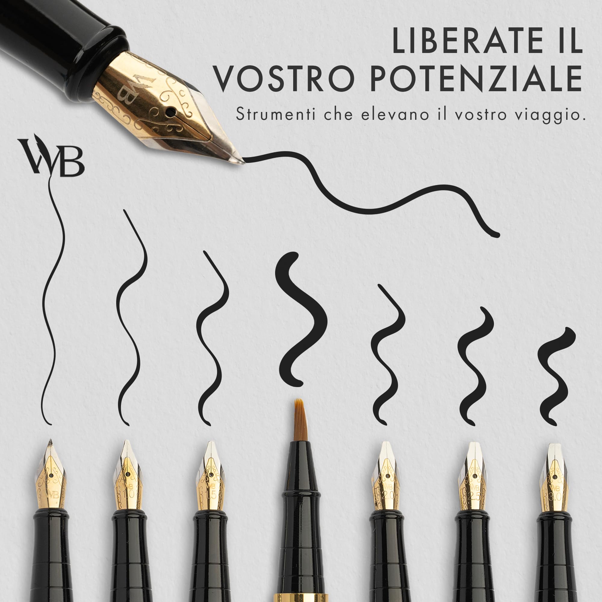 Wordsworth & Black Set Regalo Penna di Calligrafia, Include Bottiglia di Inchiostro, 6 Cartucce d'Inchiostro, Convertitore di Ricarica d'Inchiostro 6 Punte di Ricambio, Pacchetto Premium[Argento Oro]