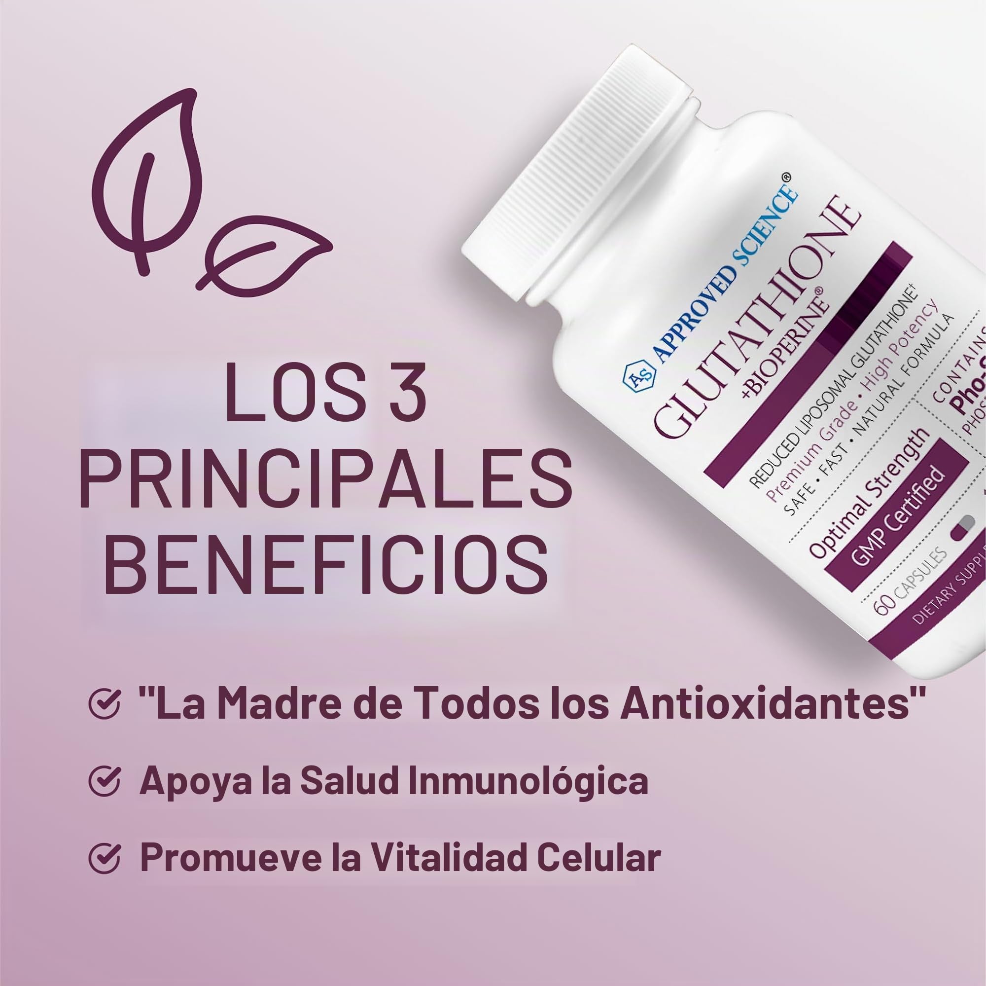 glutathione en español beneficios Approved Science® Glutatión - Glutatión 500 mg - Complejo de fosfolípidos, vitamina C, bioperina - Antioxidante superior para ayudar a neutralizar los radicales libres - Apto para veganos Fatigue and Metabolism Bac Vs Sterile Water Size:100mg - 120 Capsules