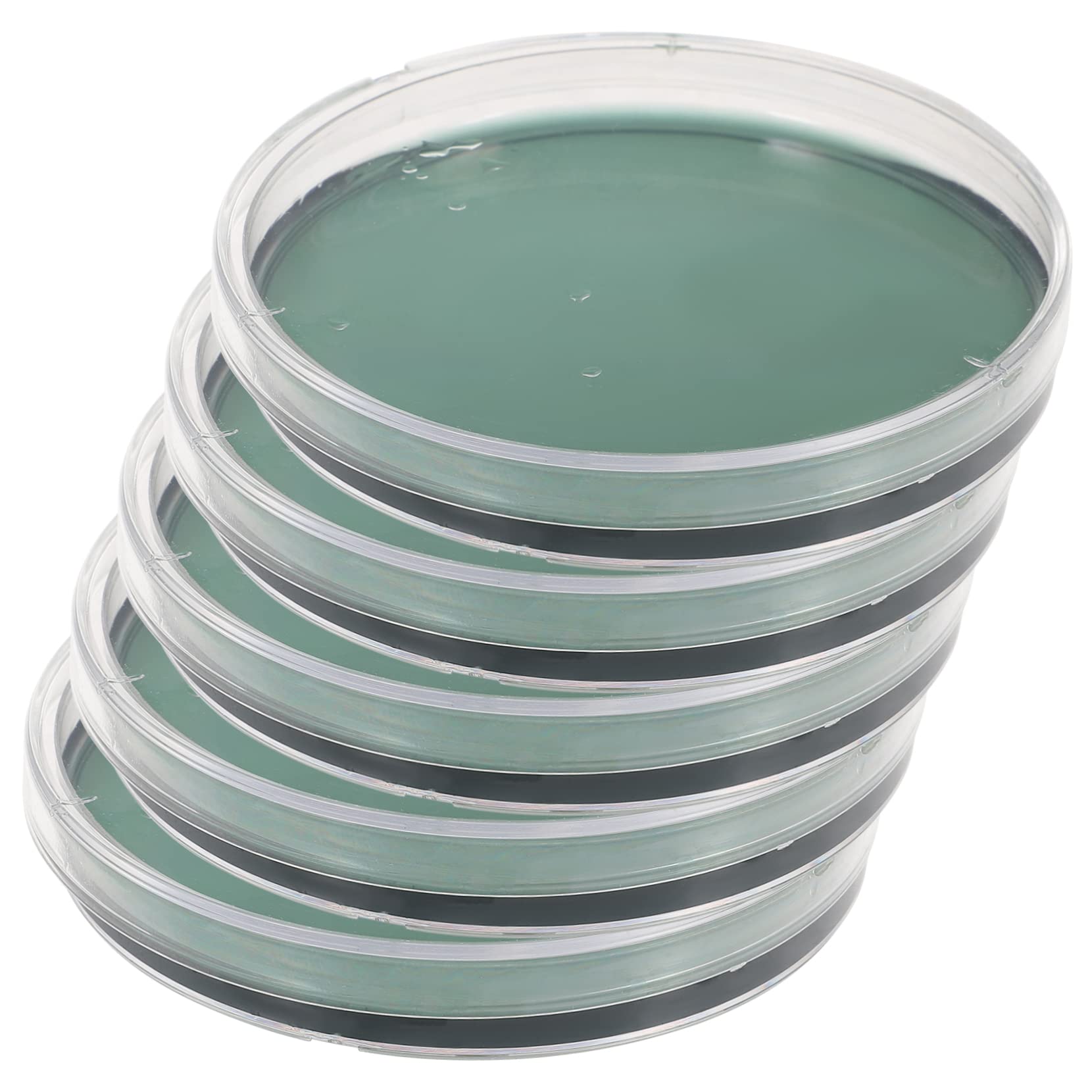 Buy Mobestech 5pcs ent Agar Plate Tools for Glass with Lid s for Tissue