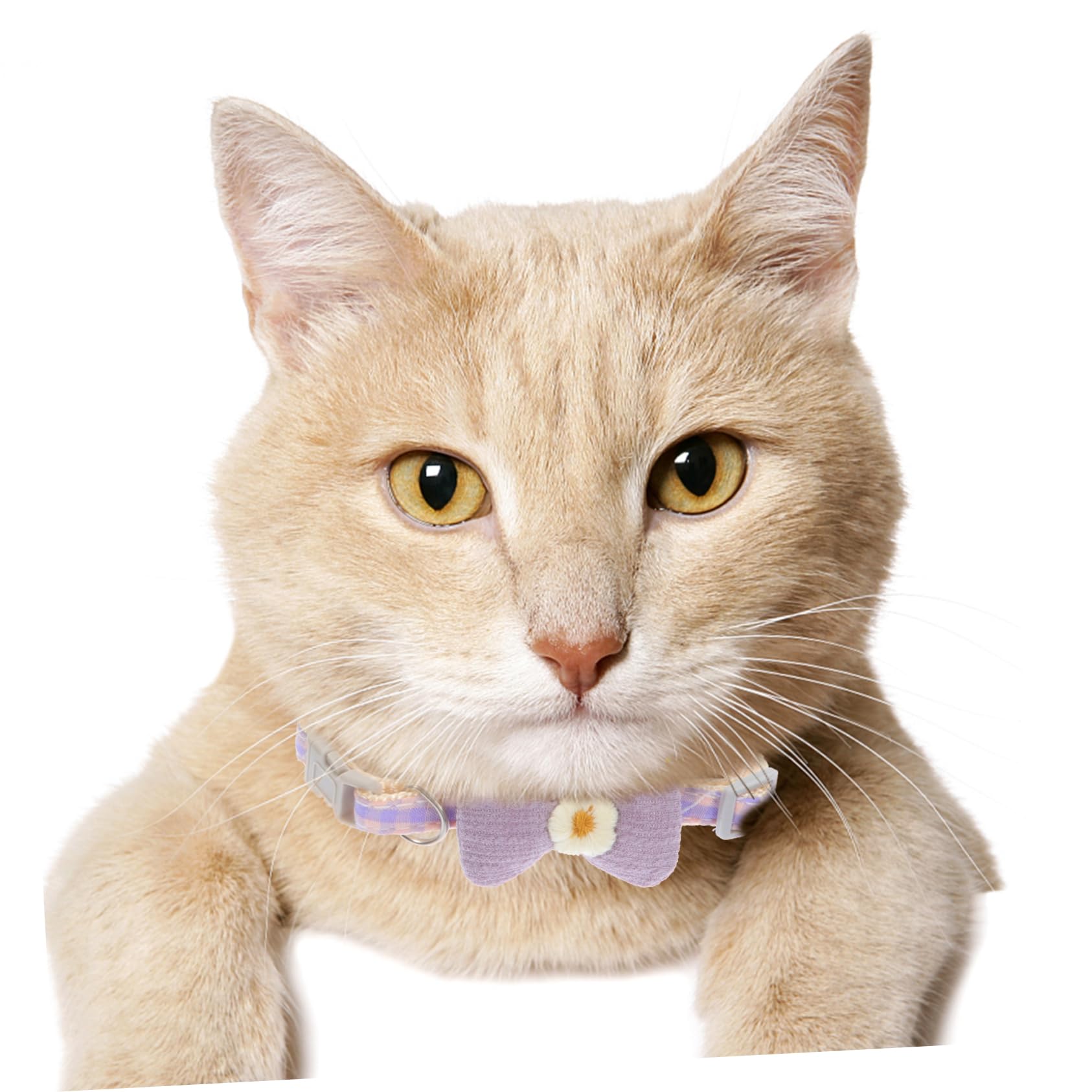 Amosfun 10stücke Verstellbares Katzenhalsband Mit Schleife Dekoratives Haustierhalsband Für Tägliches Tragen Partys Und Besondere Anlässe