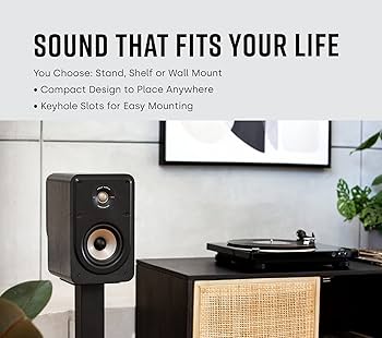 ELITE ES10 zonotone　オマケつき　polk Amazon.com: Polk Signature Elite ES10 Surround Loudspeaker