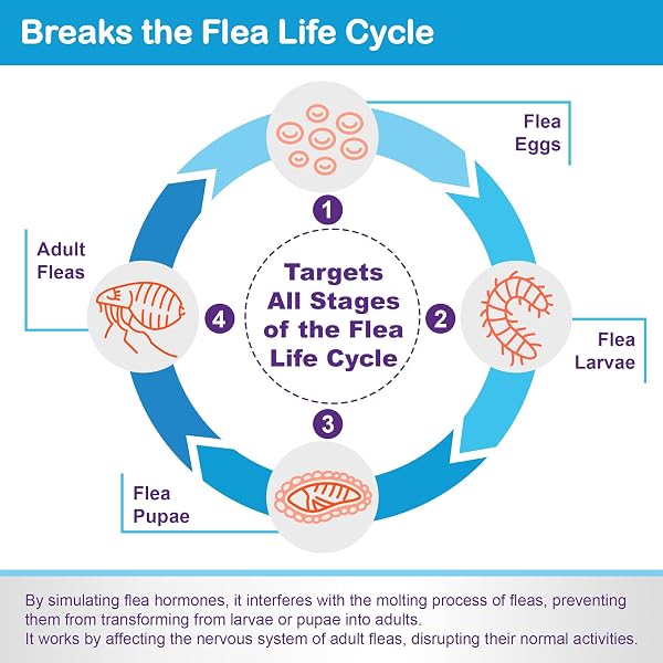 Topical Flea and Tick for Large Cats: Waterproof Topical Cat Flea and Tick – Fast-Acting & Long-Lasting at Home Control for Cats Over 9 lbs and 8 Weeks or Older – 6-Dose Supply - 3