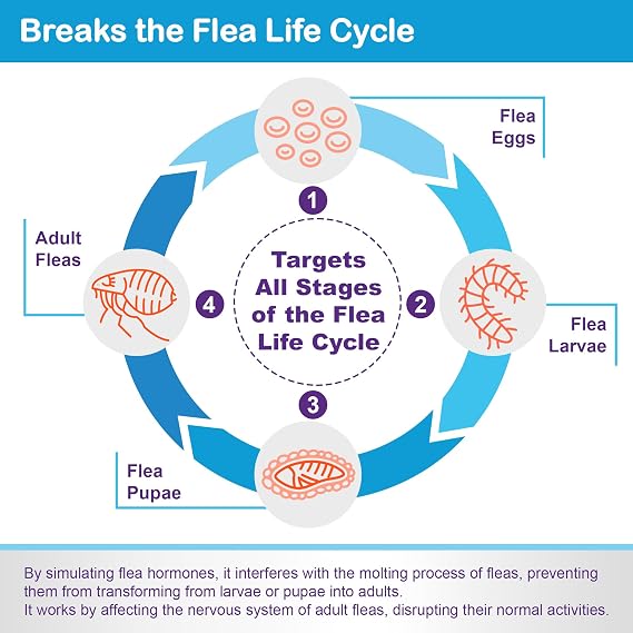 Topical Flea and Tick for Large Cats: Waterproof Topical Cat Flea and Tick Fast-Acting & Long-Lasting at Home Control for Cats Over 9 lbs and 8 Weeks or Older 6-Dose Supply