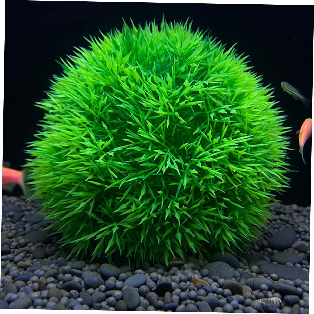 Alipis 3 Sets Dekorative Künstliche Wasserpflanzen Realistische Aquarium Dekoration Pflanzen Gefälschte Gras Für Wassertank 2 Stücke * 3