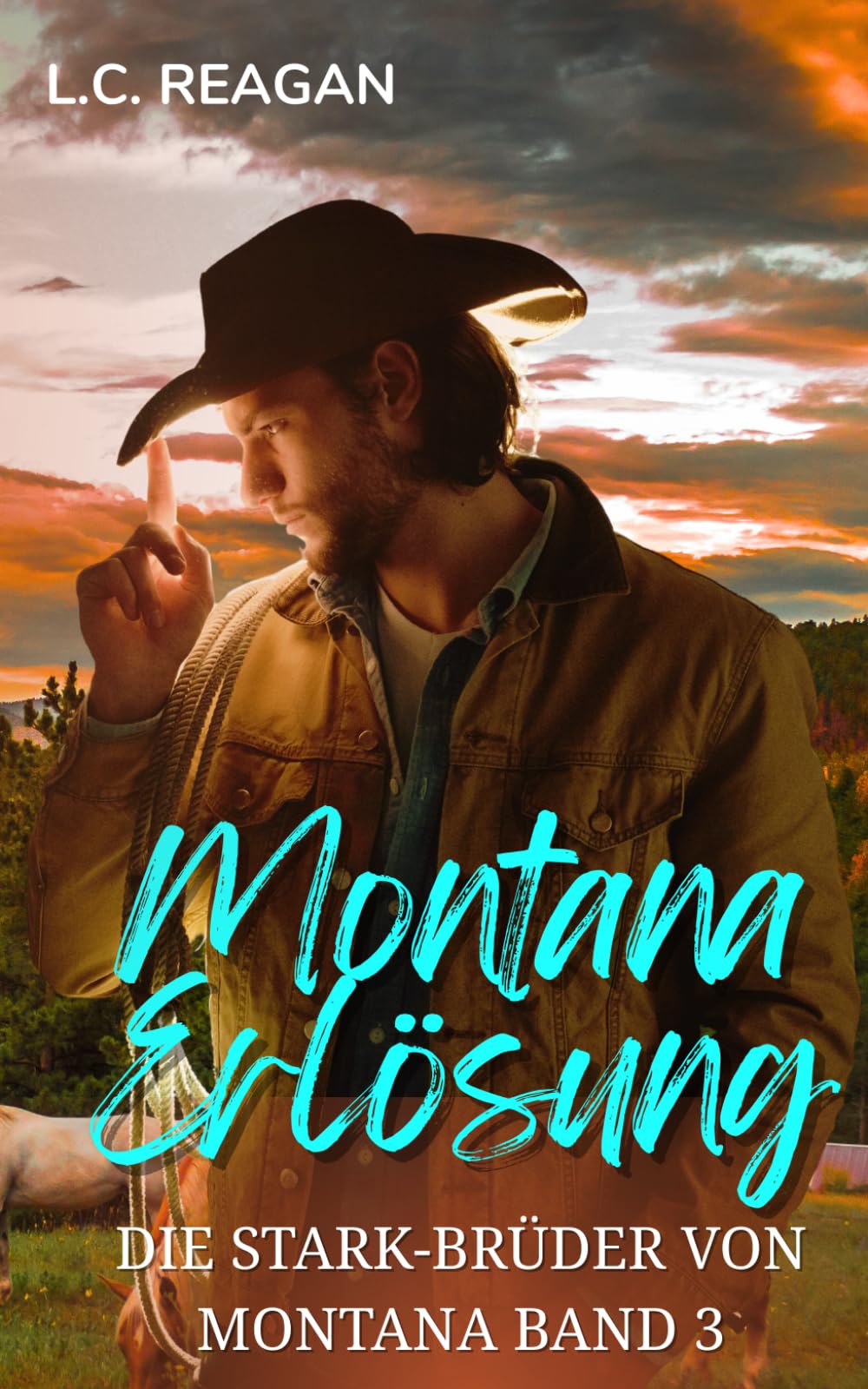 Montana Erlösung: Ein Cowboy-Liebesroman über einen verwundeten Soldaten (Rhetts Geschichte) (Die Stark-Brüder von Montana)