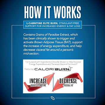 SIRENLABS L-Carnitine Elite Burn Lemon Lime Flavor - 32 Servings