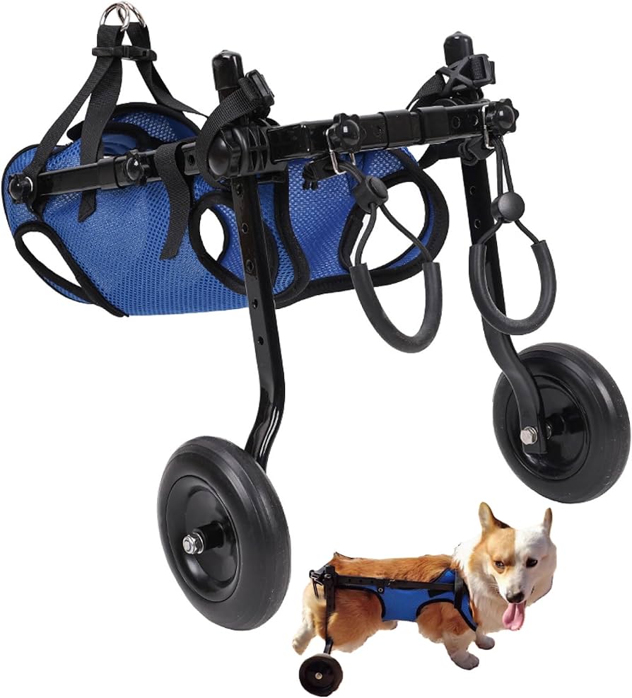 Amazon | EdisonBrain 犬の歩行器 犬用車椅子 ペット 散歩 サポート