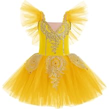 AFAVOM Ballet Leotards for Girls Ballerina Performance Swan Lake Costumes Embroidery Tulle Camisole Skirted Leotard Dancewear