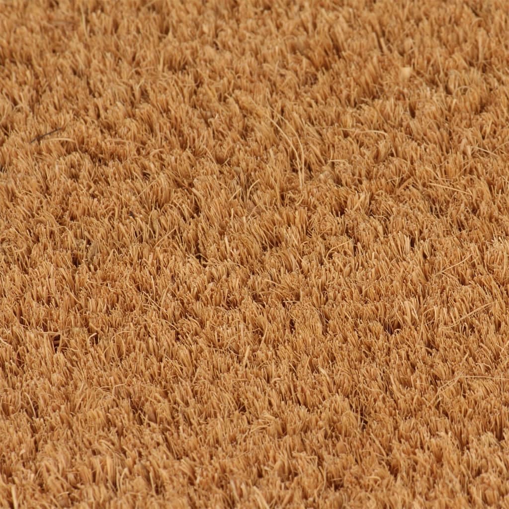 Hothingwell Tapis de Porte en Fibre de Coco 80 x 100 cm