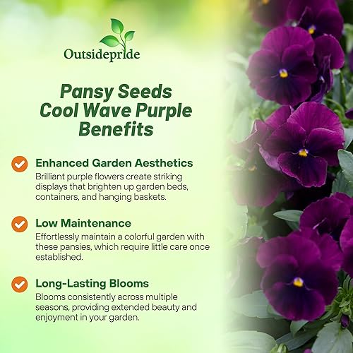 Miniatura 3 de Outsidepride Grupo de padres Pansy Cool Wave Purple