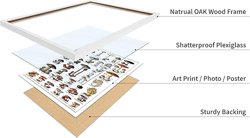 Miniatura 168 de Poster Master Póster vintage de orquídea, estampado de flores retro, arte de pared de plantas exóticas, arte botánico, regalo para hombres y