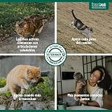 Ver la foto 8