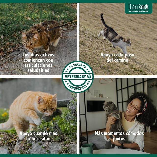 Foto 8 de 8 de Innovet Condrostress Cat Suplemento Articular para Gatos 30 Cápsulas