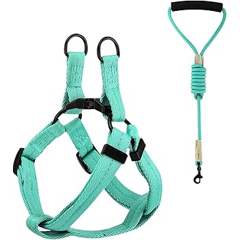 Pawaboo Hundegeschirr Und Leine Set Einstellbar Brustgeschirr Hunde Geschirr Sicherheitsgeschirr Laufgeschirr Traningsgeschirr Mit Hand Griff Fur Kleine Mittlere Und Grosse Hunde M Himmelblau Amazon De Haustier