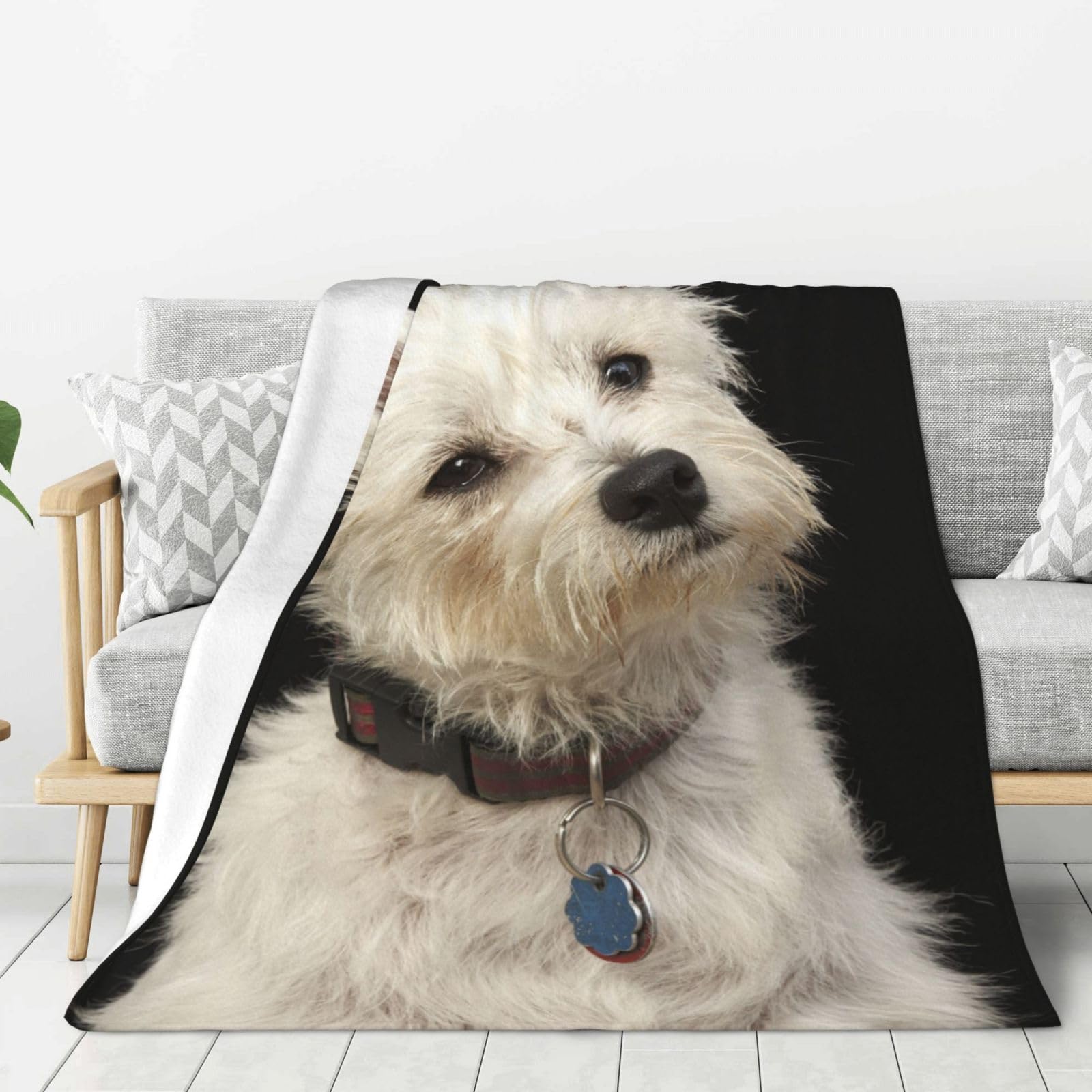 YOFIEN West Highland Terrier With Collar Super Soft Throw Flannel Blanket Thick Comfy Cozy Couch 80"x60"